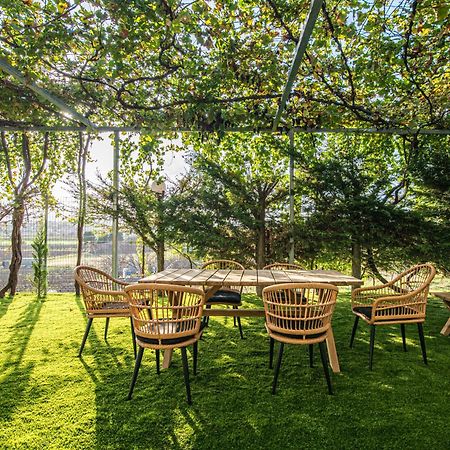 Masticha Apartment Oinofyta Экстерьер фото