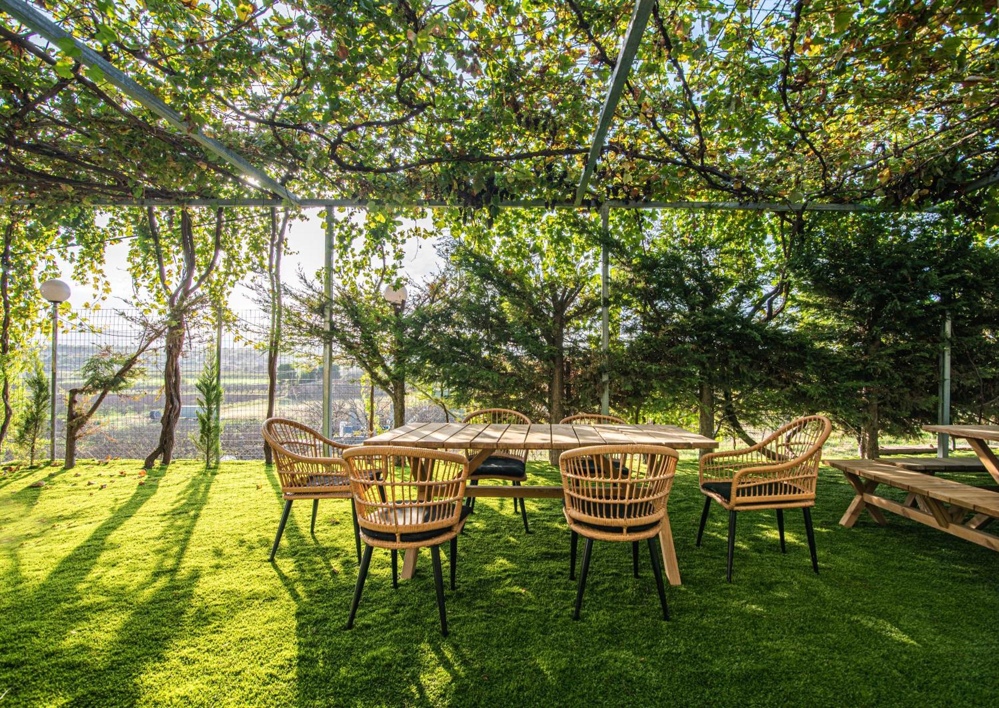 Masticha Apartment Oinofyta Экстерьер фото